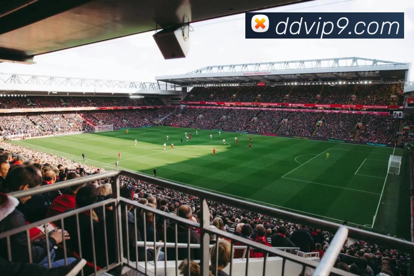 App Interface Preview