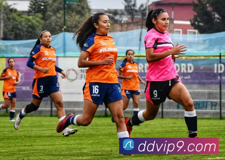 鼎点娱乐官网APP 封面图