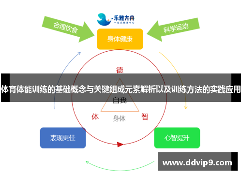 体育体能训练的基础概念与关键组成元素解析以及训练方法的实践应用